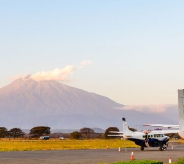 Small safari aircraft parked at a remote Serengeti airstrip with wildlife and savannah landscape in the background 