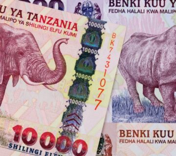 Tanzanian Shillings banknotes and coins in various denominations 