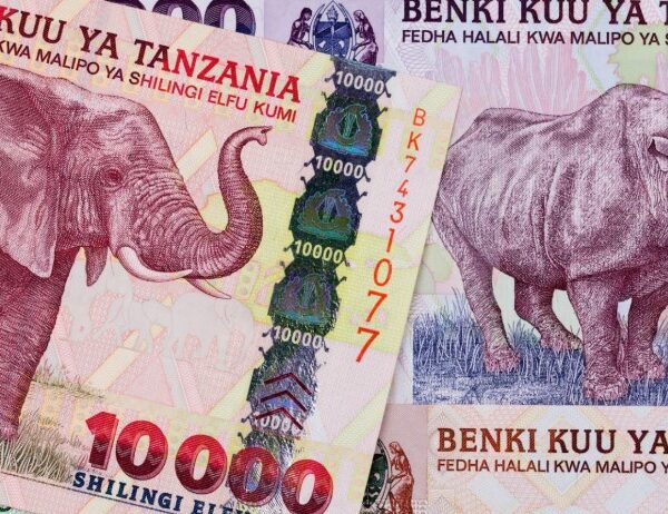 Tanzanian Shillings banknotes and coins in various denominations.