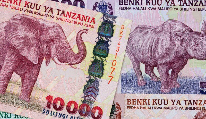 Tanzanian Shillings banknotes and coins in various denominations.
