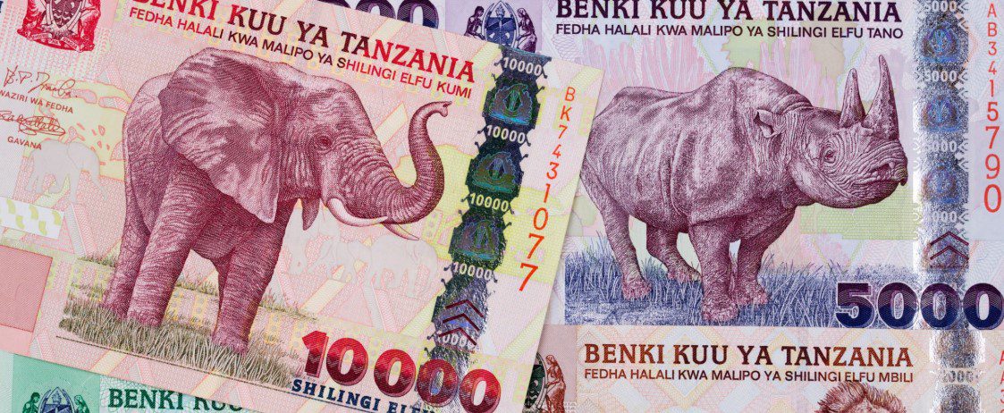 Tanzanian Shillings banknotes and coins in various denominations.