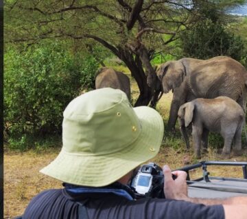 A herd of elephants walking through Tarangire National Park in Tanzania, surrounded by baobab trees 
