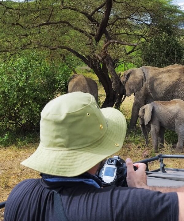 A herd of elephants walking through Tarangire National Park in Tanzania, surrounded by baobab trees.