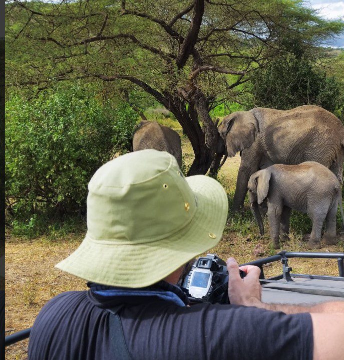 A herd of elephants walking through Tarangire National Park in Tanzania, surrounded by baobab trees.