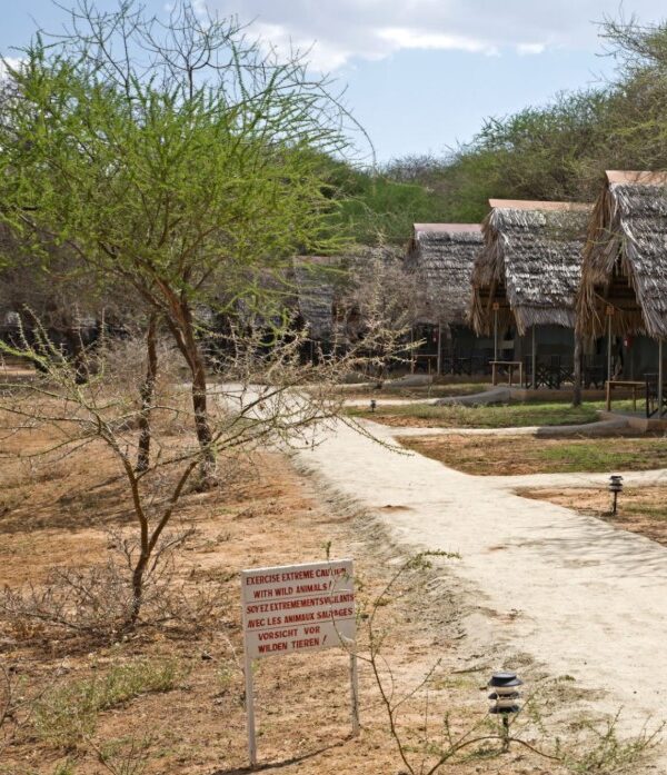 Sustainable eco-lodges in Tanzania’s national parks offering luxurious, nature-friendly accommodations.