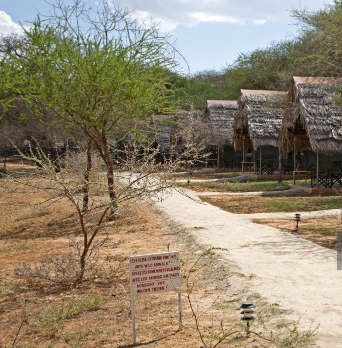 Sustainable eco-lodges in Tanzania’s national parks offering luxurious, nature-friendly accommodations.