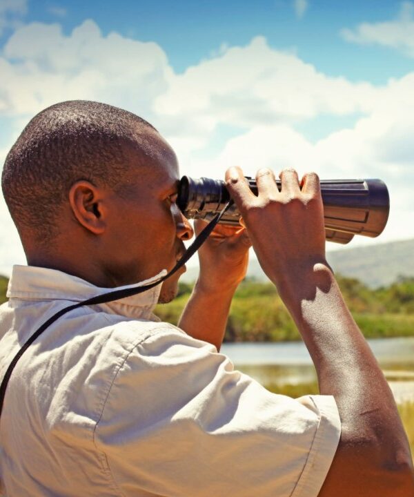 Experienced Rwanda tour guide leading a group through lush greenery in a national park.