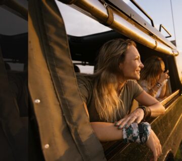 Tourist enjoying a safari ride in a vehicle surrounded by wildlife"
