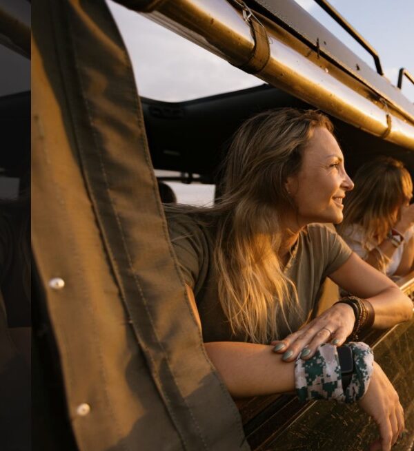 Tourist enjoying a safari ride in a vehicle surrounded by wildlife"