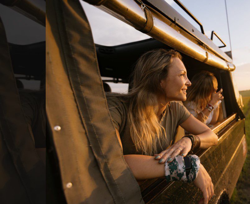 Tourist enjoying a safari ride in a vehicle surrounded by wildlife"