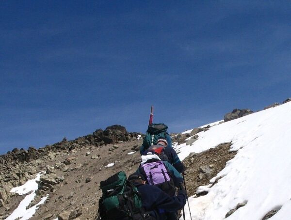 Majestic view of Mount Kenya with snow-capped peaks and lush greenery at lower altitudes