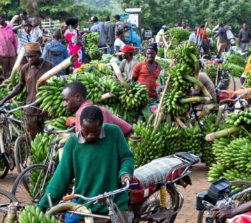 Matoke served on a traditional Ugandan banana leaf