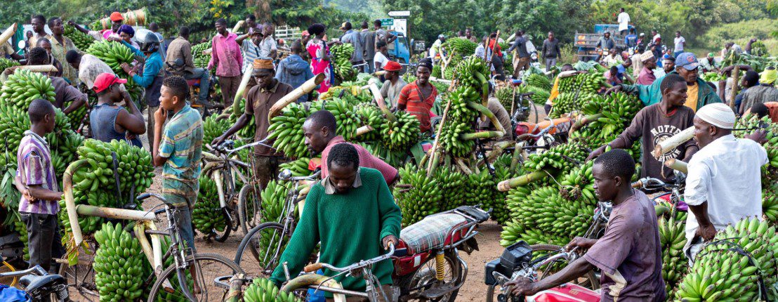 What Is the Traditional Food of Uganda? 1 matoke served on a traditional Ugandan banana leaf