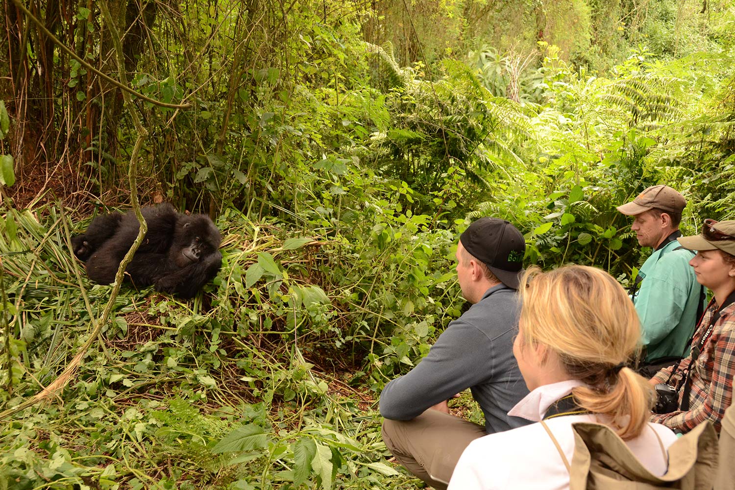 Best Day Trips from Kigali for Nature Lovers