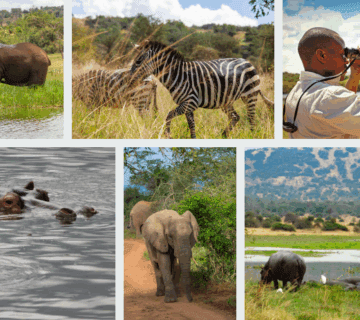 Group Safari in Rwanda Ngorongoro Crater Tours