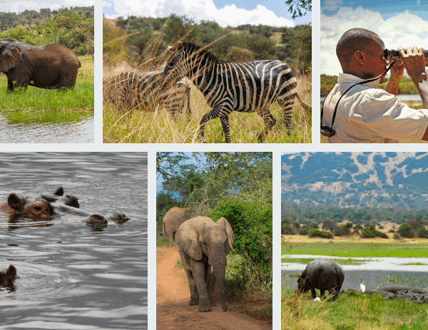 Group Safari in Rwanda Ngorongoro Crater Tours