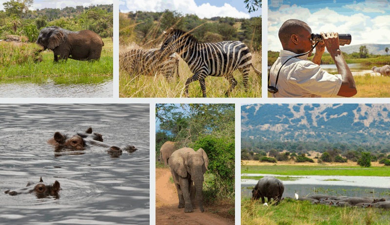 Group Safari in Rwanda Ngorongoro Crater Tours