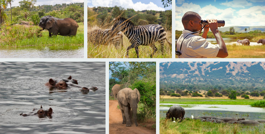 Group Safari in Rwanda Ngorongoro Crater Tours