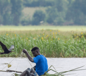 Best Fishing Seasons in Uganda’s Lakes 4 Best Fishing Seasons in Uganda’s Lakes: A Guide to Year-Round Angling Adventures