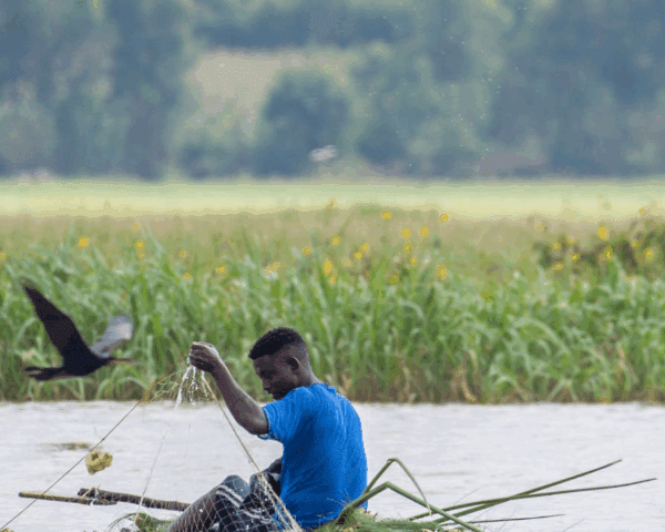 Best Fishing Seasons in Uganda’s Lakes: A Guide to Year-Round Angling Adventures