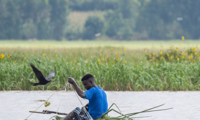 best-fishing-season Best Fishing Seasons in Uganda’s Lakes: A Guide to Year-Round Angling Adventures