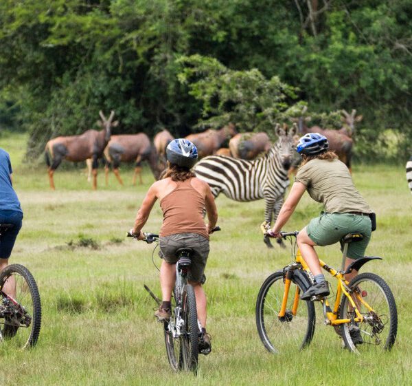 Lake Mburo National Park. Best Time to Book Group Safaris in Uganda