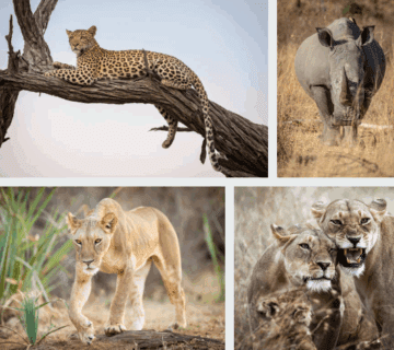 East Africa Group Adventures