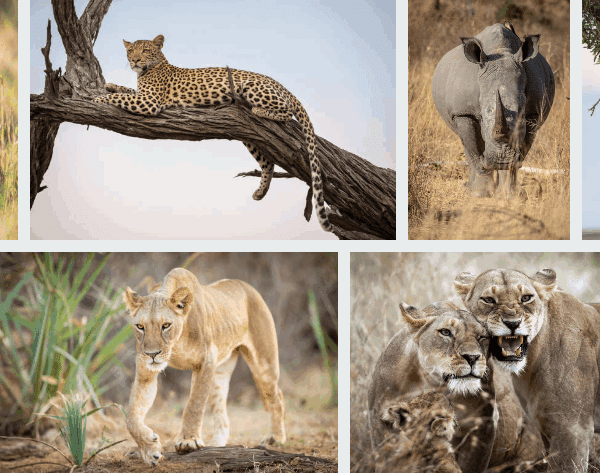 East Africa Group Adventures