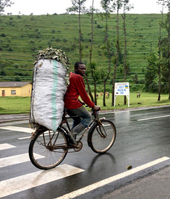 Cyclist riding through Rwanda’s lush green countryside with rolling hills in the background.