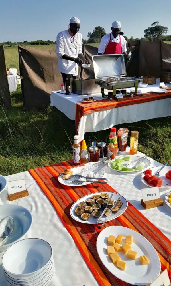 New Year's Eve in the Bush: Camps That Host Celebrations
