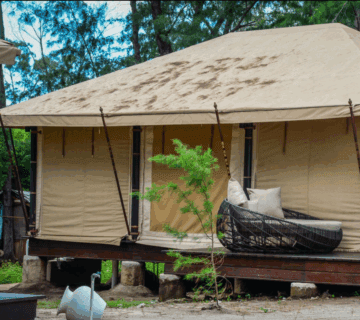 Are There Glamping Options in Tanzania?