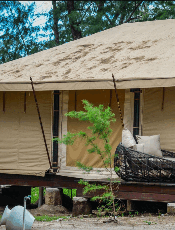 Are There Glamping Options in Tanzania?