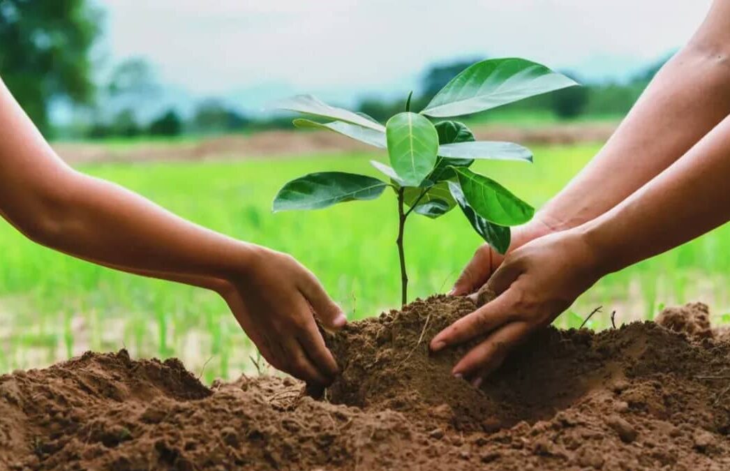 Raise Awareness, leave positive impact, and leave Uganda Green for sustainable Ecotourism management and increase green cover to absorb excess carbon from tourist vehicles