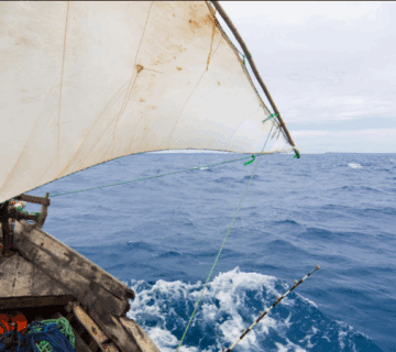 Best Time for Deep Sea Fishing in Zanzibar: A Guide to the Ultimate Adventure