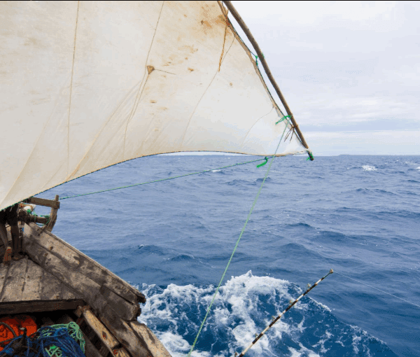 Best Time for Deep-Sea Fishing in Zanzibar: A Guide to the Ultimate Adventure