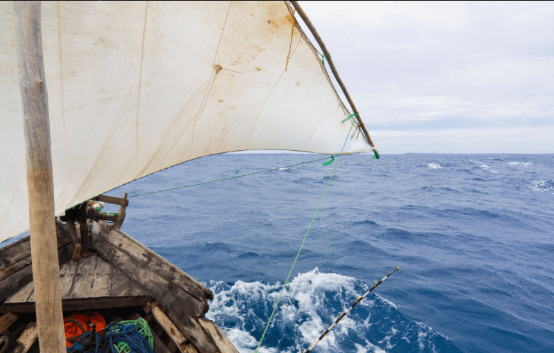 deep-sea-fishing-in-Zanzibar Best Time for Deep-Sea Fishing in Zanzibar: A Guide to the Ultimate Adventure