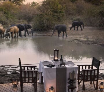 Proposal Safari in the Wild