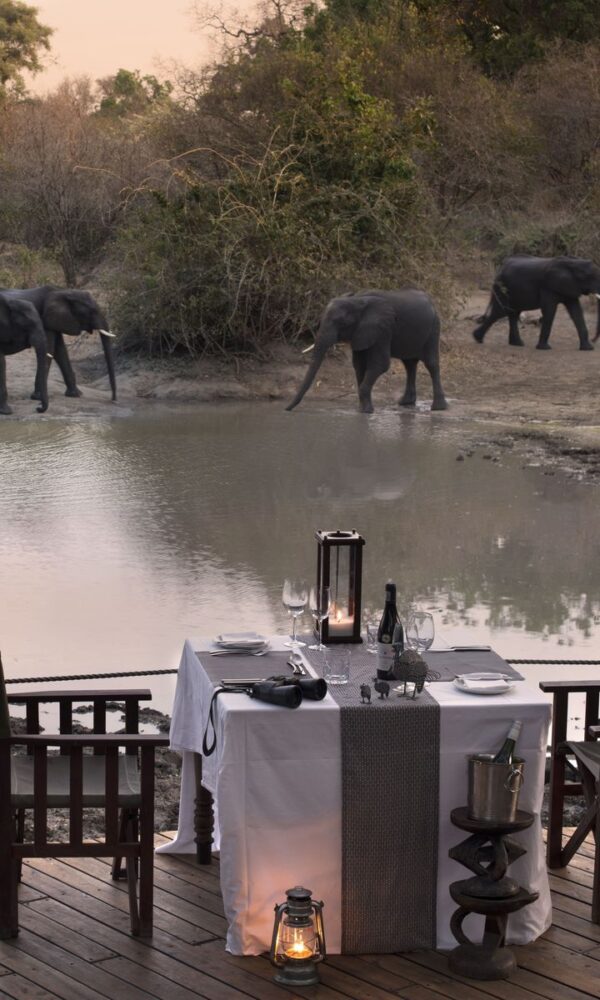 Proposal Safari in the Wild