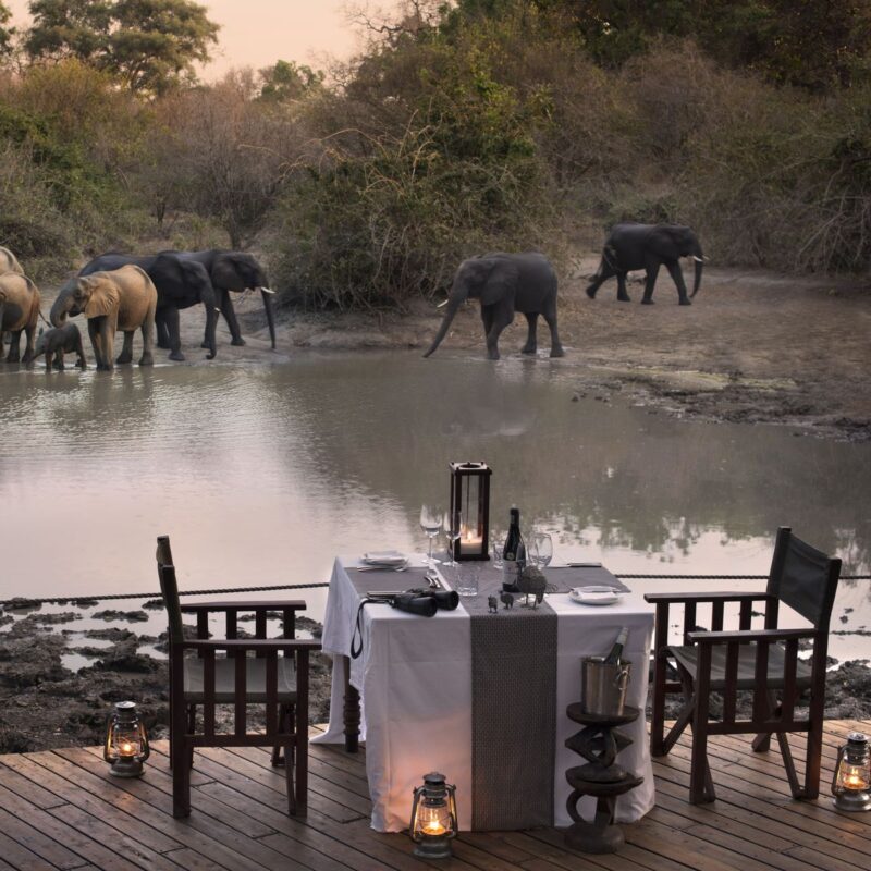 Proposal Safari in the Wild