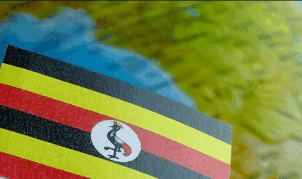 Are There Direct Flights to Uganda from Europe? A Journey of Discovery and Inspiration