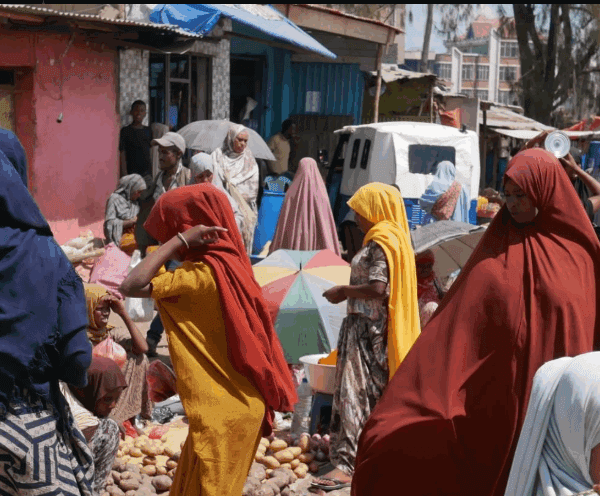 Best East African Destination for Digital Nomads