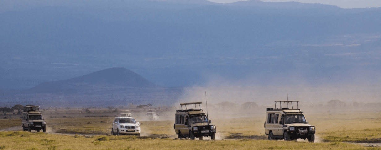 Experience the ultimate Serengeti group safari - witness the Great Migration, Big Five, and breathtaking African wildlife adventures in Tanzania