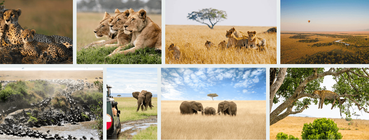 Serengeti