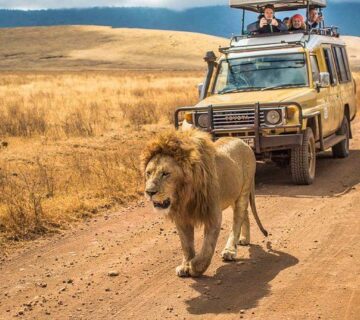 Christmas Group Travel Packages in Tanzania
