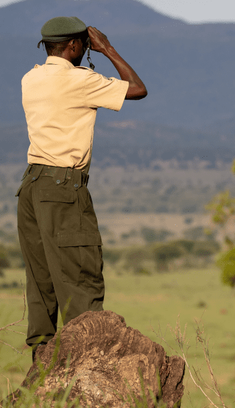 Group Safari Insurance