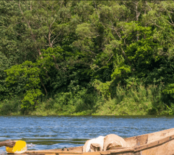 Best Budget Fishing Trips in Uganda 4 Best Budget Fishing Trips in Uganda: An Affordable Adventure for Anglers
