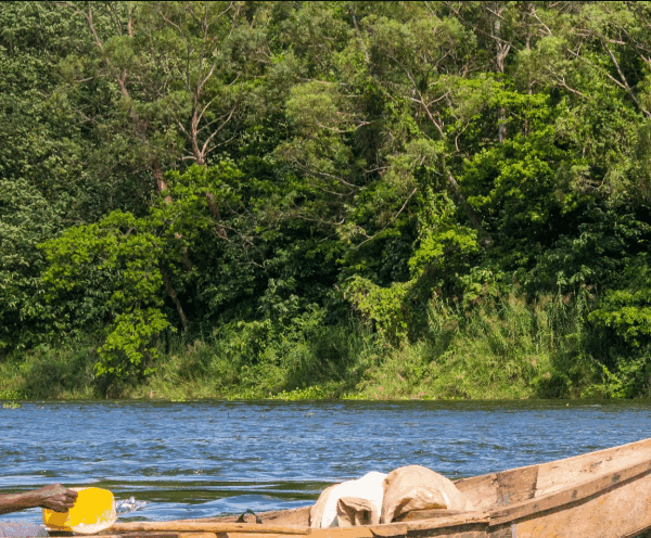 Best Budget Fishing Trips in Uganda: An Affordable Adventure for Anglers