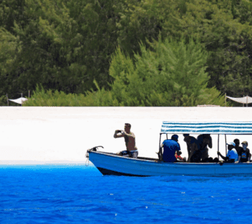 Top 5 Fly Fishing Destinations in Tanzania: A Journey of Adventure and Serenity