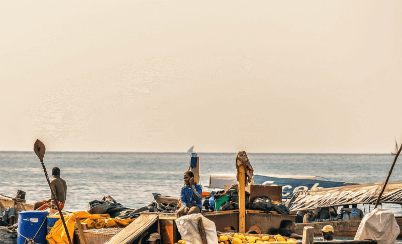 fishing-guides Best Fishing Guides in Lake Tanganyika, Tanzania: Your Gateway to an Unforgettable Angling Adventure