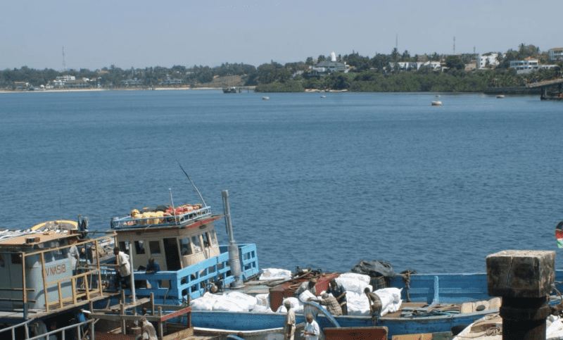 fishing-in-kenya How to Book a Fishing Charter in Mombasa, Kenya